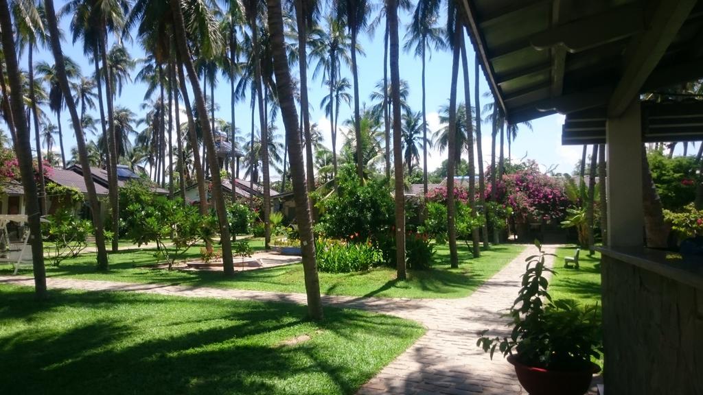 Catsen Bungalows & Rooms Mũi Né Extérieur photo